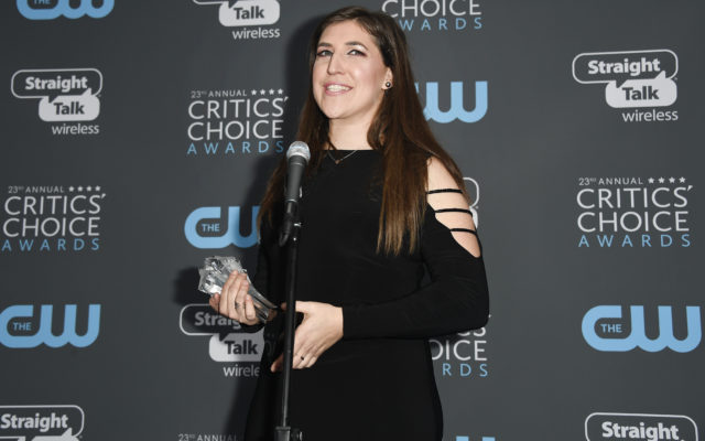 Mayim Bialik Will Host A Celebrity Talent Show For TBS