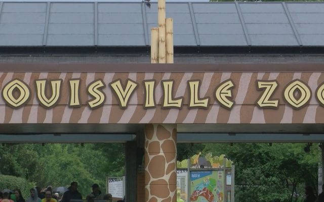 Louisville Zoo Set to Reopen This Friday