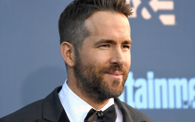 Ryan Reynolds Offers $5000 Reward for Stolen Teddy Bear