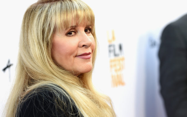 Stevie Nicks Wants Aspiring Artists To Save $30,000 For This
