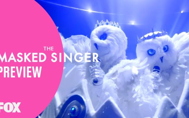 ‘The Masked Singer’ Includes First Two-Headed Costume Duet