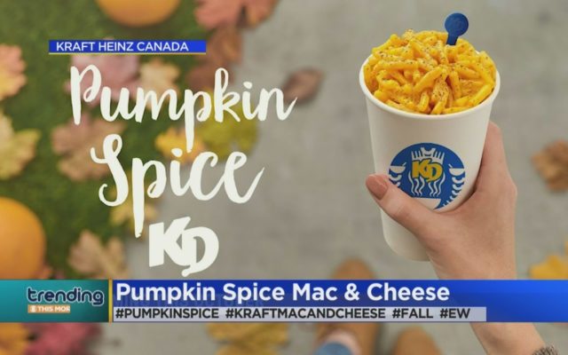 Pumpkin Spice Macaroni and Cheese, Anyone?