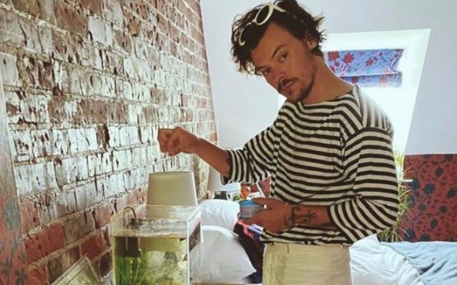 Harry Styles Hung Out At A Fan’s House And Fed Her Fish After His Car Broke Down