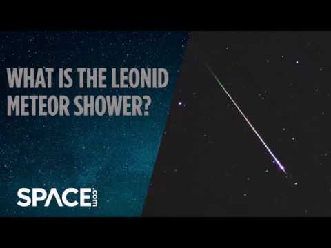 Coming Attraction: The Leonid Meteor Shower