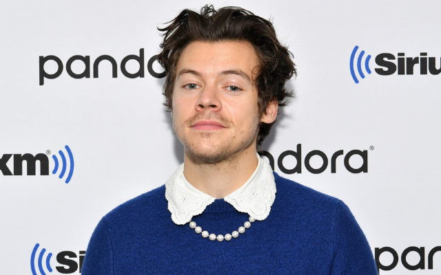 Harry Styles and Olivia Wilde Could Be Dating