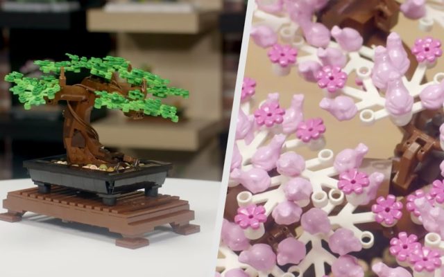 LEGO Introduces Botanical Series for Adults
