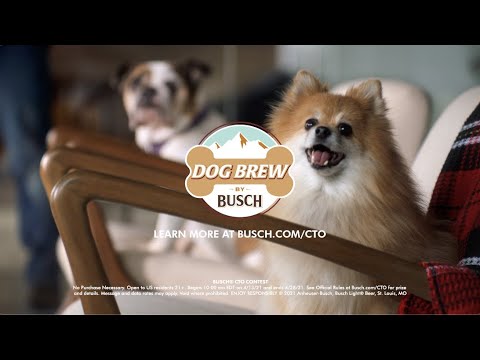 Ethan The Dog Gets A Job With Busch Beer