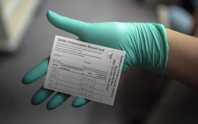 Border Patrol Seize Thousands Of Fake Vaccination Cards
