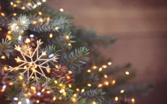 Artificial Christmas Trees Could See Double-Digit Price Increase This Year Due To Supply Chain Issue