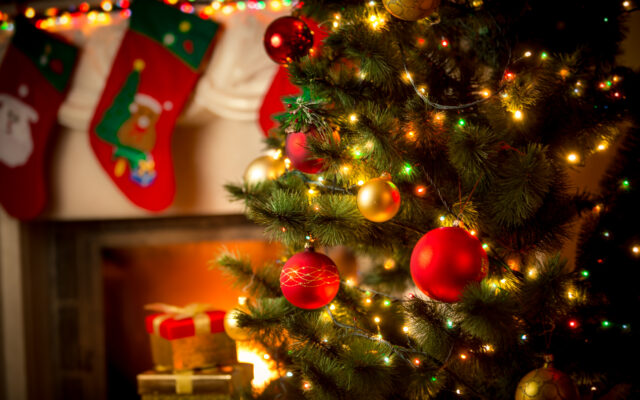 Survey Determines When it’s too Early to Put up a Christmas Tree