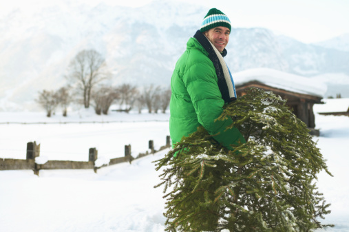 Supply Chain Issues Could Make It Harder To Find A Christmas Tree This Year