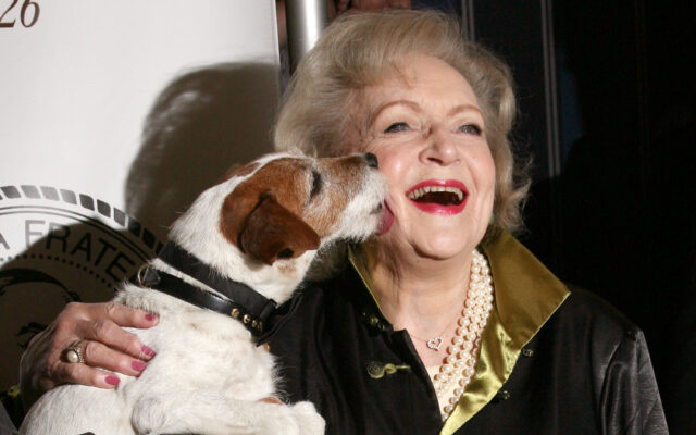 Betty White Mural Encourages Dog Rescue Donations