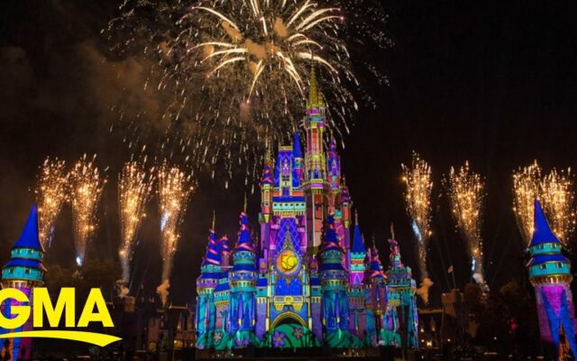 How To Watch Disney World Fireworks Live From Home