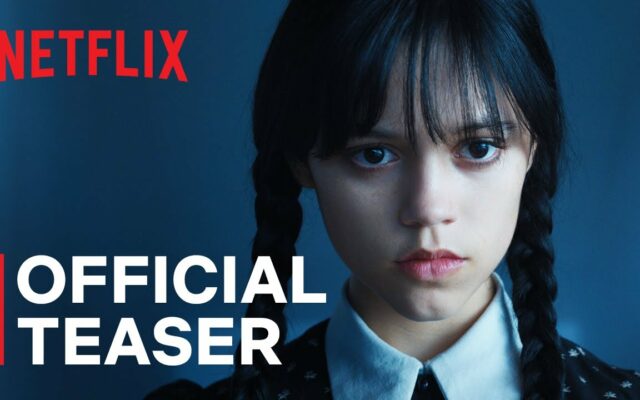 New Netflix Series “Wednesday” Gives Spin on Addams Family