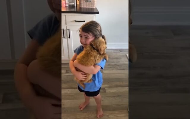 Little Girl SOBS Tears Of JOY Holding Her New Puppy