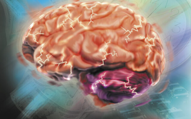 Scientists Make Breakthrough On The Human Brain