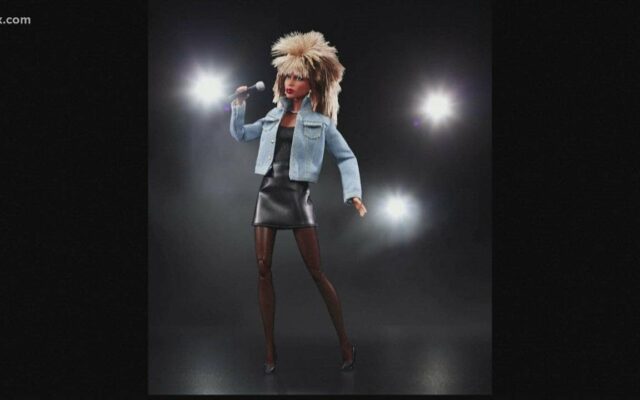 Barbie Releasing A Tina Turner Doll