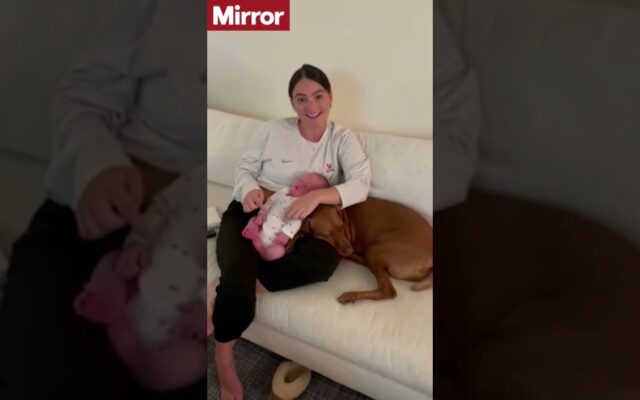 Adorable: Dog Instantly Falls In Love With Baby