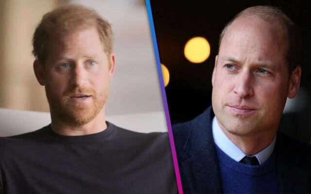 Harry And Prince William May Never Reconcile